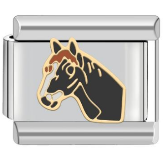 Charm caballo
