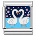 Charm - cisnes