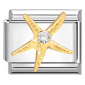 Charm golden starfish con brillo
