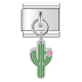Charm cactus