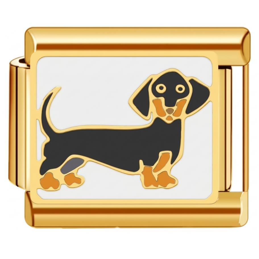 Charm - perro salchicha