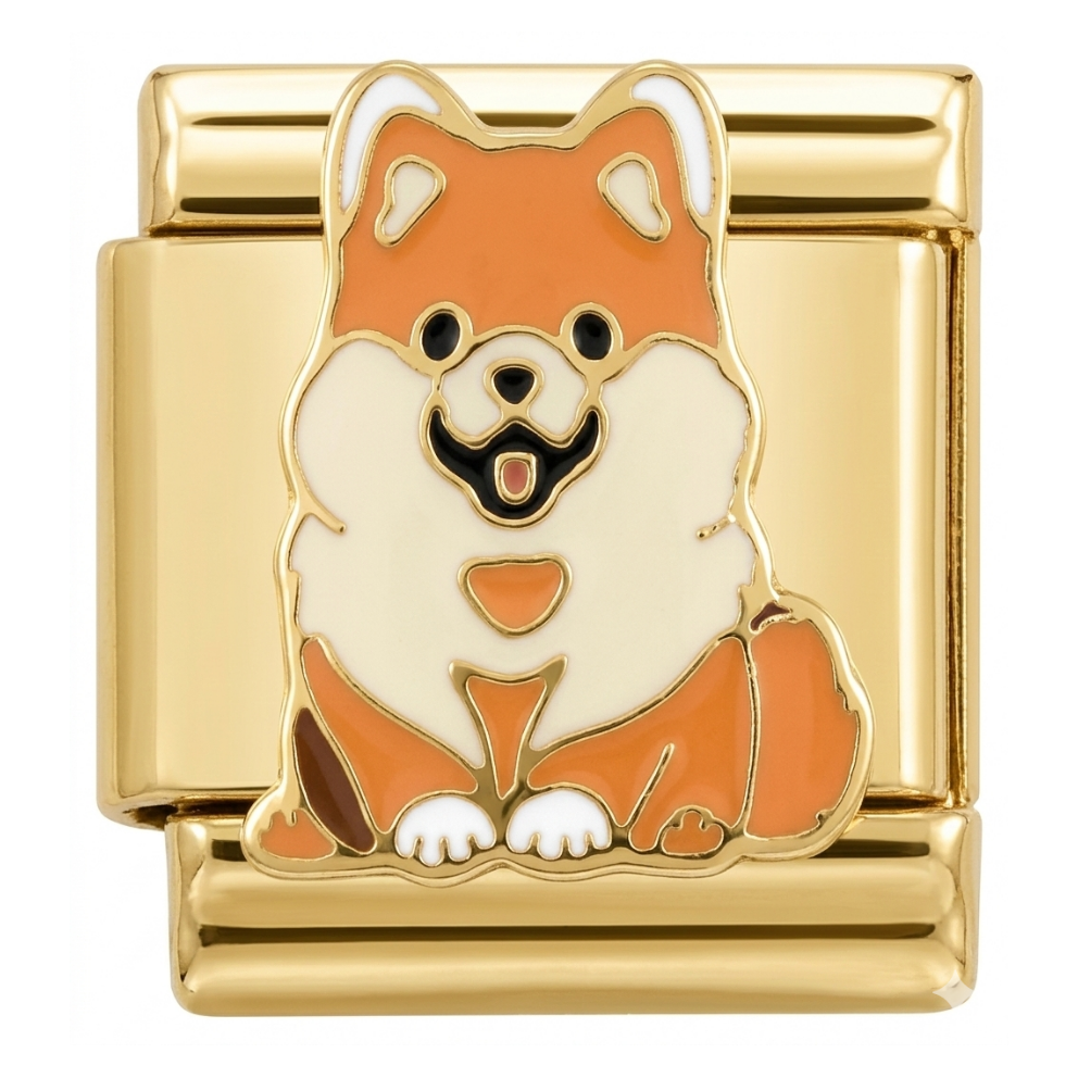 Charm - Pomeranian