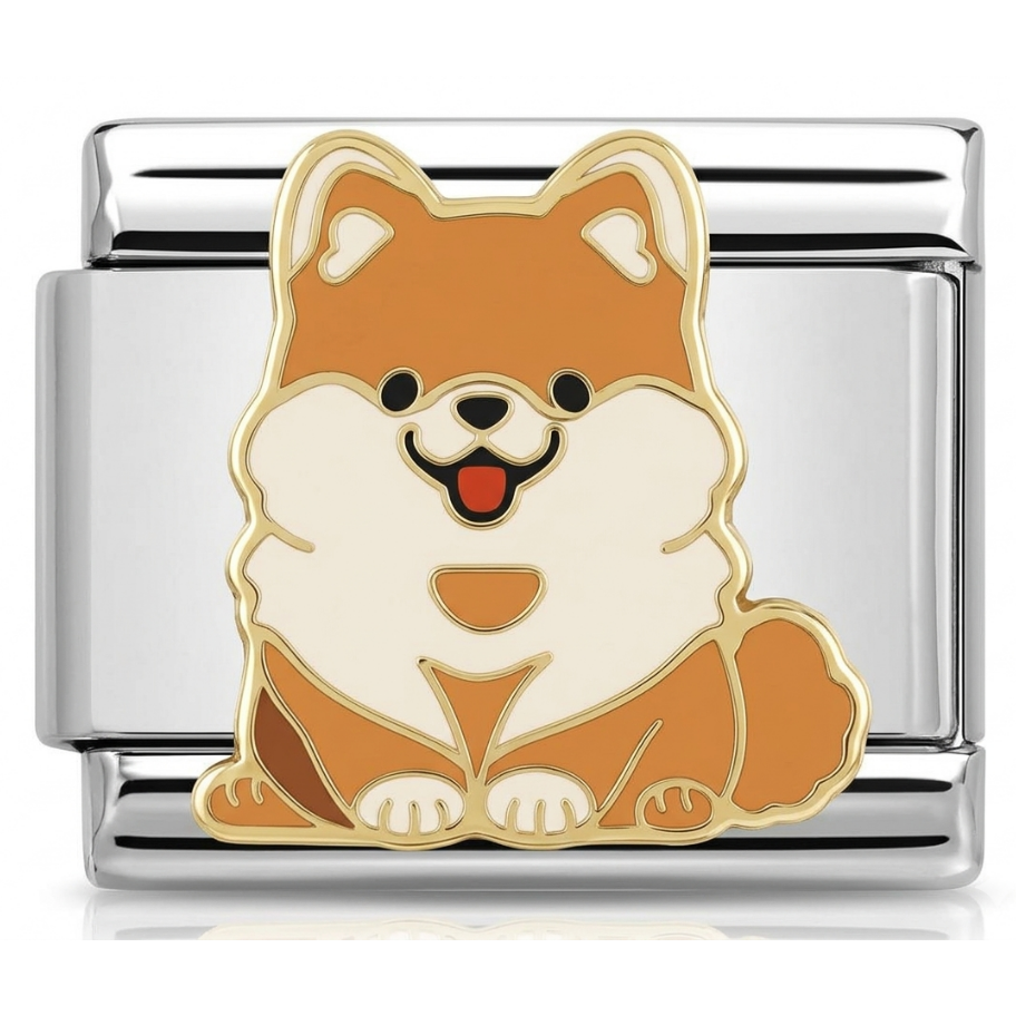 Charm - Pomeranian
