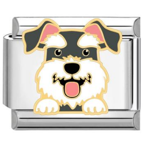 Charm schnauzer