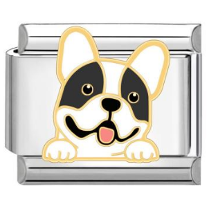 Charm bulldog francés
