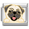 Charm pug carlino