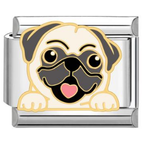 Charm pug carlino